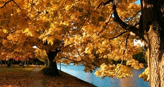 Ugodan jesenski dan pred nama: pretežno sunčano i mirno, uz mjestimičnu maglu