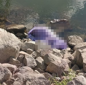 Prizor koji je šokirao mnoge: Uz Dravu kod Osijeka bačen pas u plastičnoj vrećici