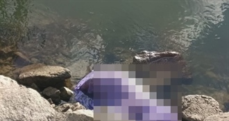 Prizor koji je šokirao mnoge: Uz Dravu kod Osijeka bačen pas u plastičnoj vrećici