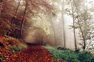 Ujutro nas očekuju magla i niski oblaci, a poslijepodne će se pojaviti i sunce