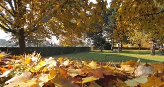 Maglovit i svjež početak tjedna - popodne donosi više sunca