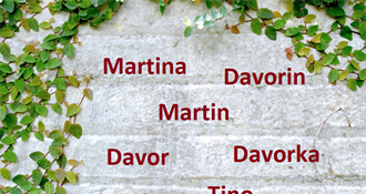 Blagdan Svetog Martina: Imendane slave Martin, Davor, Davorka i Teodor