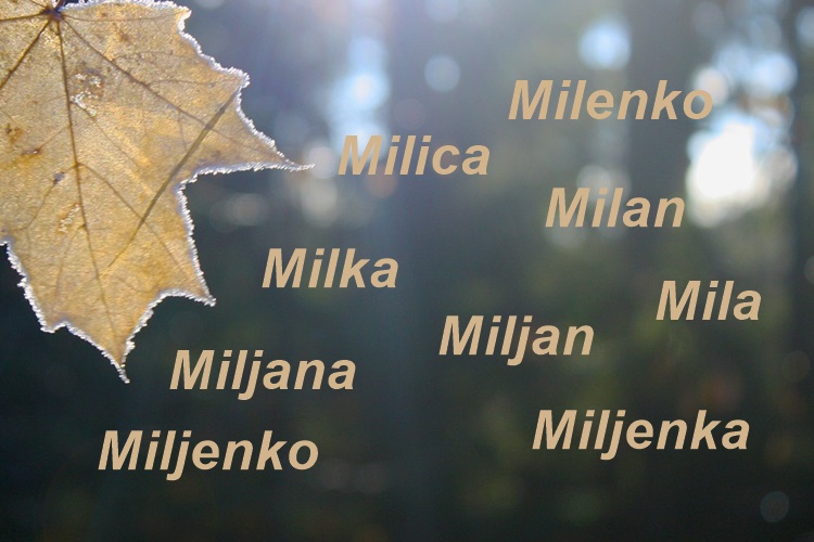 SRETAN IMENDAN! Ovo su današnji slavljenici