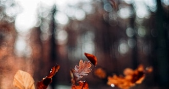 Danas pravo jesensko vrijeme – svježe jutro, sunčano i ugodno poslijepodne