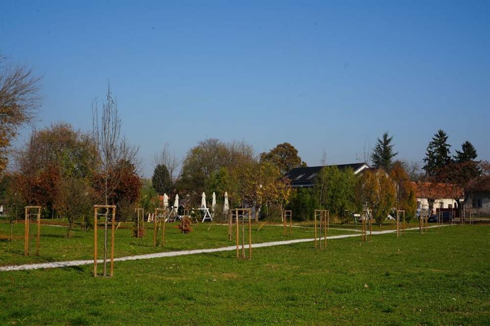 Grad pod krošnjama: U Varaždinu protekli mjesec posađena 162 nova stabla