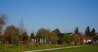 Grad pod krošnjama: U Varaždinu protekli mjesec posađena 162 nova stabla