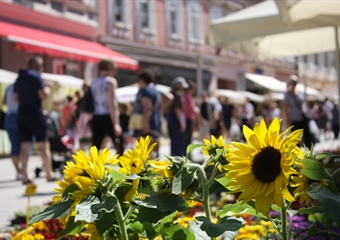 Hrvatski dohodak po članu kućanstva dvostruko veći od srpskog, a veći i od grčkog