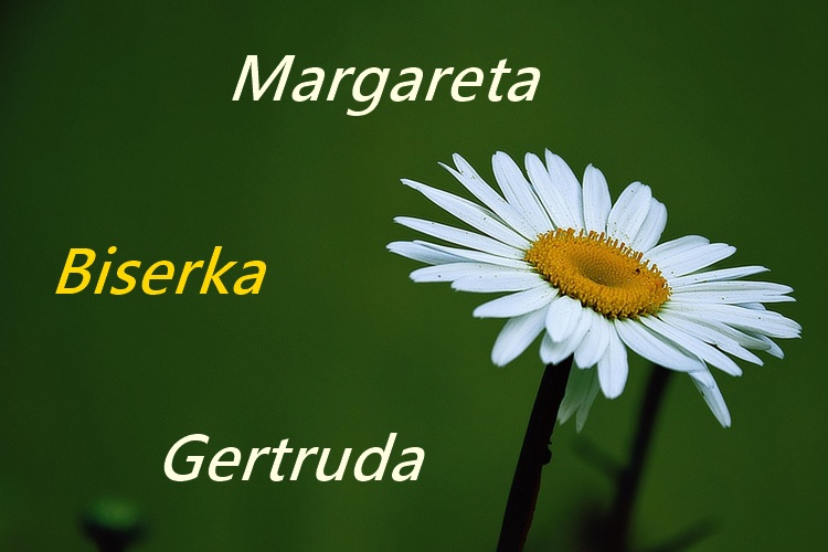 Sve najljepše današnjim slavljenicama! Znate li što znače njihova imena?