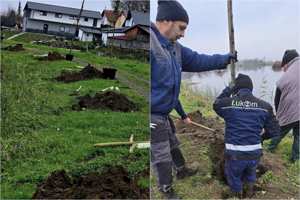 Ludbreg: Kao dio prilagodbe klimatskim promjenama, na Otoku mladosti posađena nova stabla