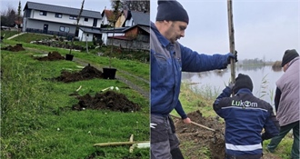 Ludbreg: Kao dio prilagodbe klimatskim promjenama, na Otoku mladosti posađena nova stabla