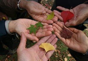 Danas je Međunarodni dan tolerancije – uvažavajmo i prihvaćajmo različitosti, bez nasilja i diskriminacije