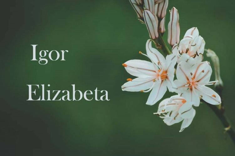 Danas imendan slave Elizabeta i Igor – sretan im imendan!