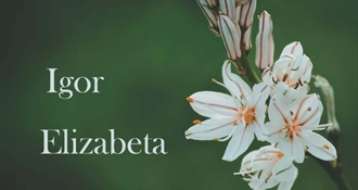 Danas imendan slave Elizabeta i Igor – sretan im imendan!