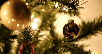 Općina Veliki Bukovec organizira 1. Dječje međuselsko natjecanje uređenja okoliša „Bajkovita šuma“