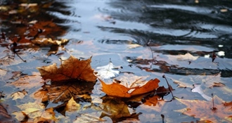 VREMENSKA PROGNOZA: Danas nas očekuje oblačno vrijeme uz mjestimičnu kišu i osjetno hladnije