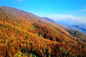 Kiše sve manje, sunca sve više....ali osjetno hladnije