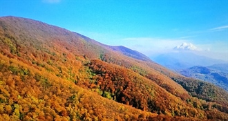 Kiše sve manje, sunca sve više....ali osjetno hladnije