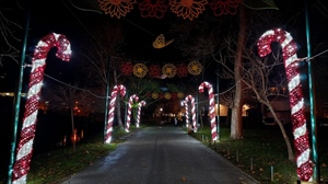 Advent u Krapini 2025. donosi bogat program za sve generacije - dođite i uživajte!