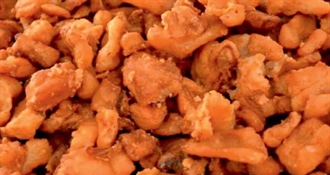 Bedekovčina poziva na Čvrčkijadu: Prijave otvorene do 12. prosinca