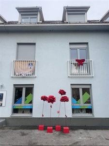 "Ljubav nije plava": U središtu Krapine postavljene četiri ruže - simboli opomene i nade