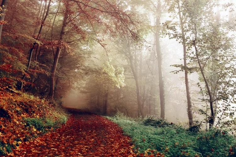 Pred nama oblačan i hladan dan s kišom i vjetrom