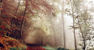 Pred nama oblačan i hladan dan s kišom i vjetrom