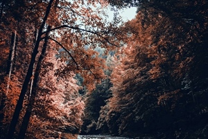 Prvi dan prosinca donosi svježe jutro i pretežno oblačno vrijeme