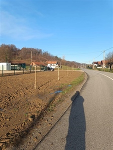 U Klanjcu, Velikom Trgovišću i Tuhlju posađena stabla: Niknule nove zelene oaze