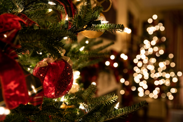 Općina Novi Golubovec daruje božićnicu umirovljenicima, osobama s invaliditetom, onkološkim bolesnicima i nezaposlenim osobama starijim od 55 godina