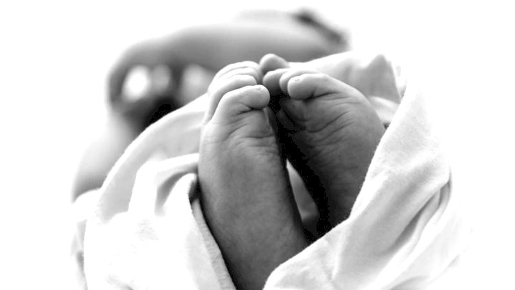 PREDIVNE VIJESTI: Na sjeveru Hrvatske rođene 54 bebe