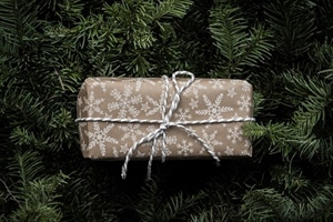 Općina Jesenje isplaćuje božićnice umirovljenicima – evo kad se mogu podignuti