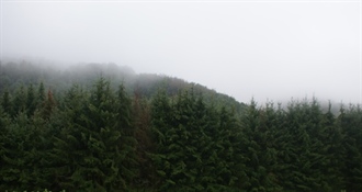 Ponedjeljak nam donosi maglu i slabu kišu