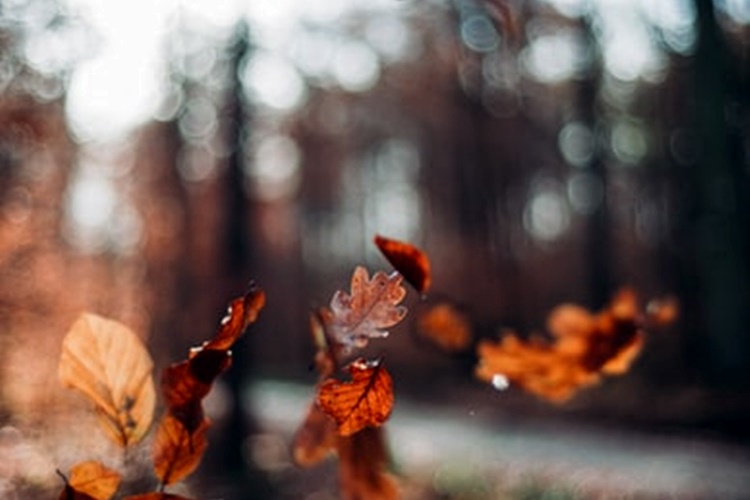 VREMENSKA PROGNOZA: Ujutro moguća magla, a tijekom dan oblačno uz sunčana razdoblja