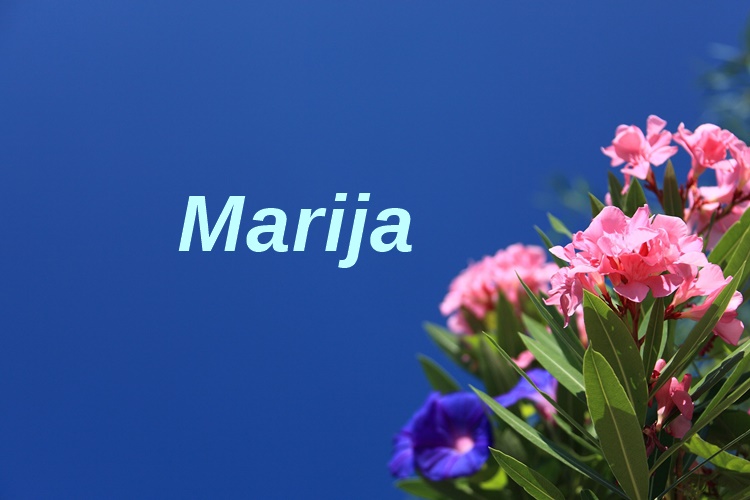 Danas je Gospa Guadalupska, pa imendan slave Marije – sretan im imendan!