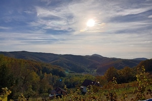 Danas nas očekuje djelomice sunčano, ujutro su mogući niski oblaci i magla