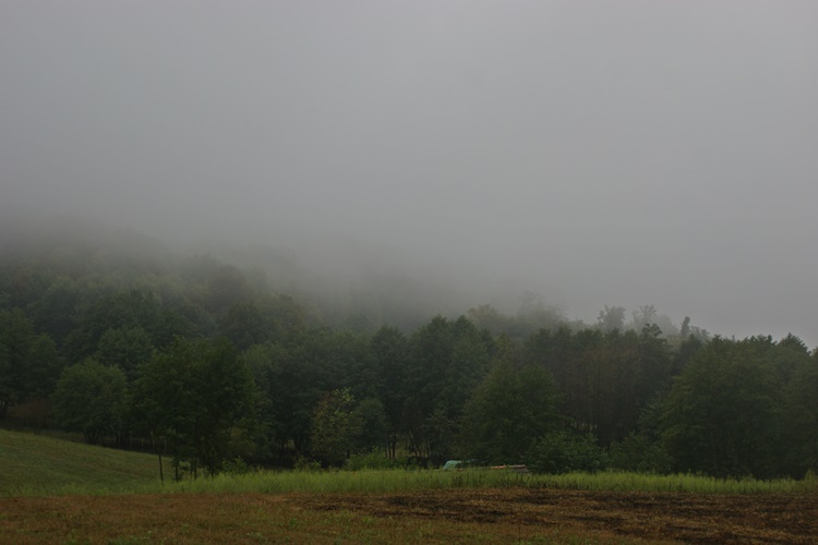 Danas ujutro magla, a tijekom dana sunčana razdoblja