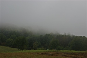 Danas ujutro magla, a tijekom dana sunčana razdoblja