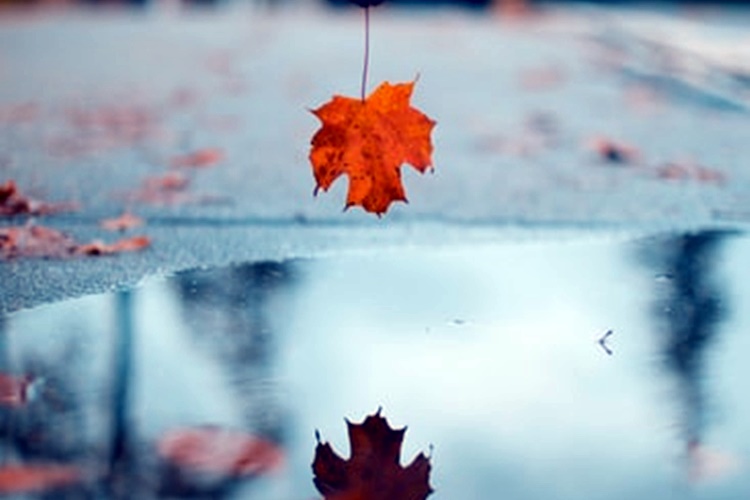 Danas promjenjivo i pretežno oblačno, mjestimice s maglom i umjerenim vjetrom