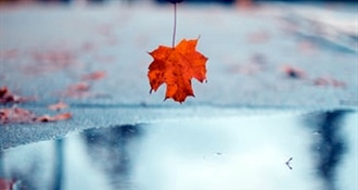 Danas promjenjivo i pretežno oblačno, mjestimice s maglom i umjerenim vjetrom