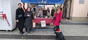 Studenti Međimurskog veleučilišta u humanitarnoj akciji za Katružu