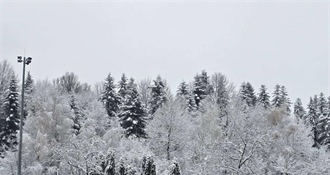Smiješi nam se bijeli Božić – snijega bi moglo biti i u Varaždinu, Krapini, Čakovcu, Zagrebu…