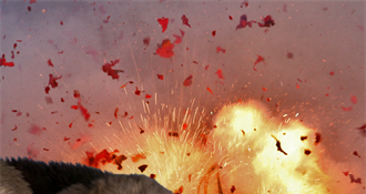 Prijatelji životinja za zabranu petardi: Cviljenje, drhtanje i skokovi kroz prozore – to  pucnjava radi životinjama!