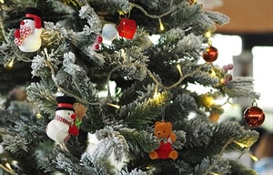 Što nam je postao blagdan Božića? Je li još uvijek prožet zajedništvom i ljubavlju s bližnjima ili skupocjeni poklon ispod bora?