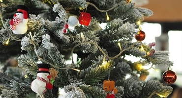 Što nam je postao blagdan Božića? Je li još uvijek prožet zajedništvom i ljubavlju s bližnjima ili skupocjeni poklon ispod bora?