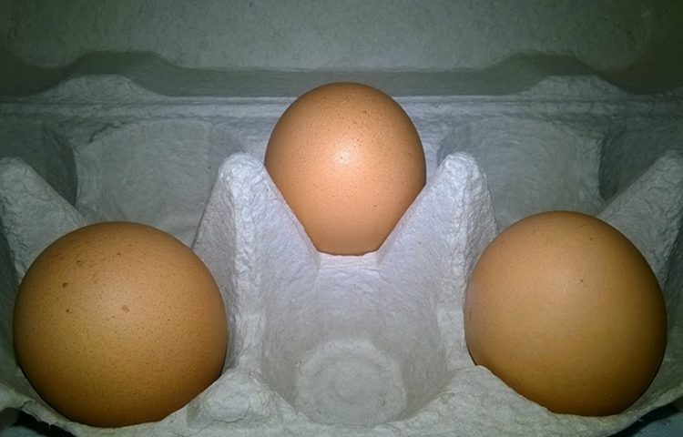 S tržišta se povlače svježa jaja sa zagorskih brega – sadrže salmonelu