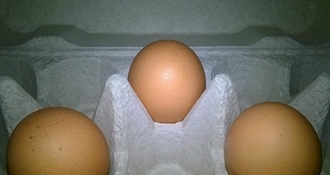 S tržišta se povlače svježa jaja sa zagorskih brega – sadrže salmonelu