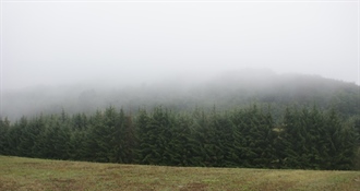 Početak tjedna donosi promjenjivo vrijeme: sunce, oblaci, kiša i magla