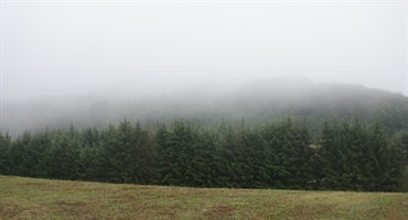 Početak tjedna donosi promjenjivo vrijeme: sunce, oblaci, kiša i magla