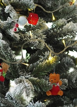 Advent u Imotskom postao hit na društvenim mrežama – ovakav program još niste vidjeli!!!