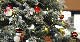 Advent u Imotskom postao hit na društvenim mrežama – ovakav program još niste vidjeli!!!